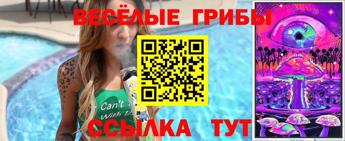 Псилоцибиновые грибы Psilocybe  Вход с VPN  Россошь 