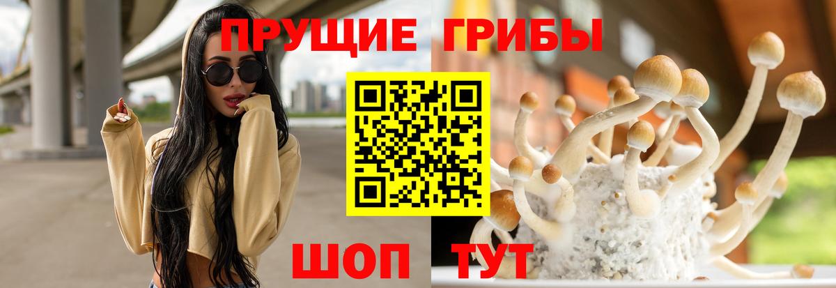 Галлюциногенные грибы Magic Shrooms Россошь